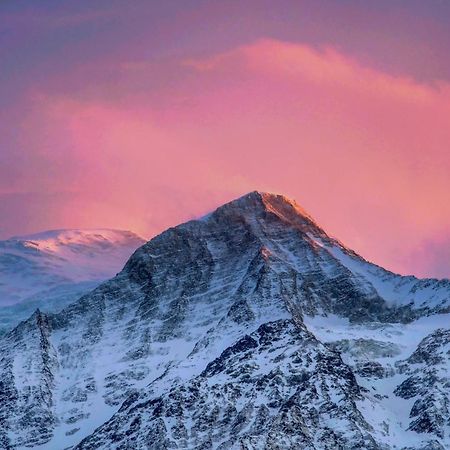 Le Chalet Mont Blanc Les Houches Buitenkant foto